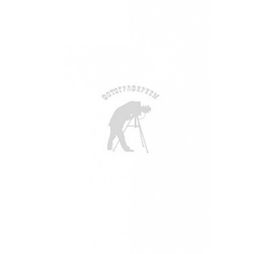 Indesit DF 4160 W